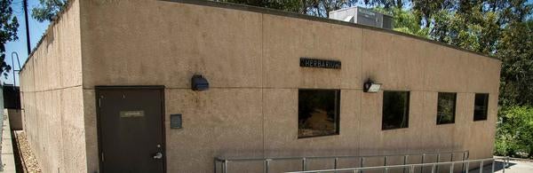 UCR Herbarium 