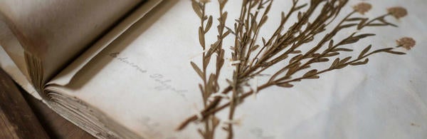 Herbaria