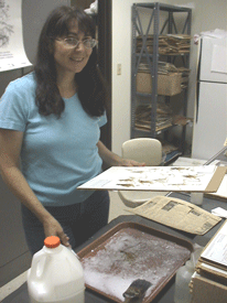 Herbarium specimens almost ready