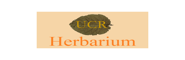 UCR Herbarium Logo