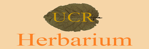 UCR Herbarium Logo